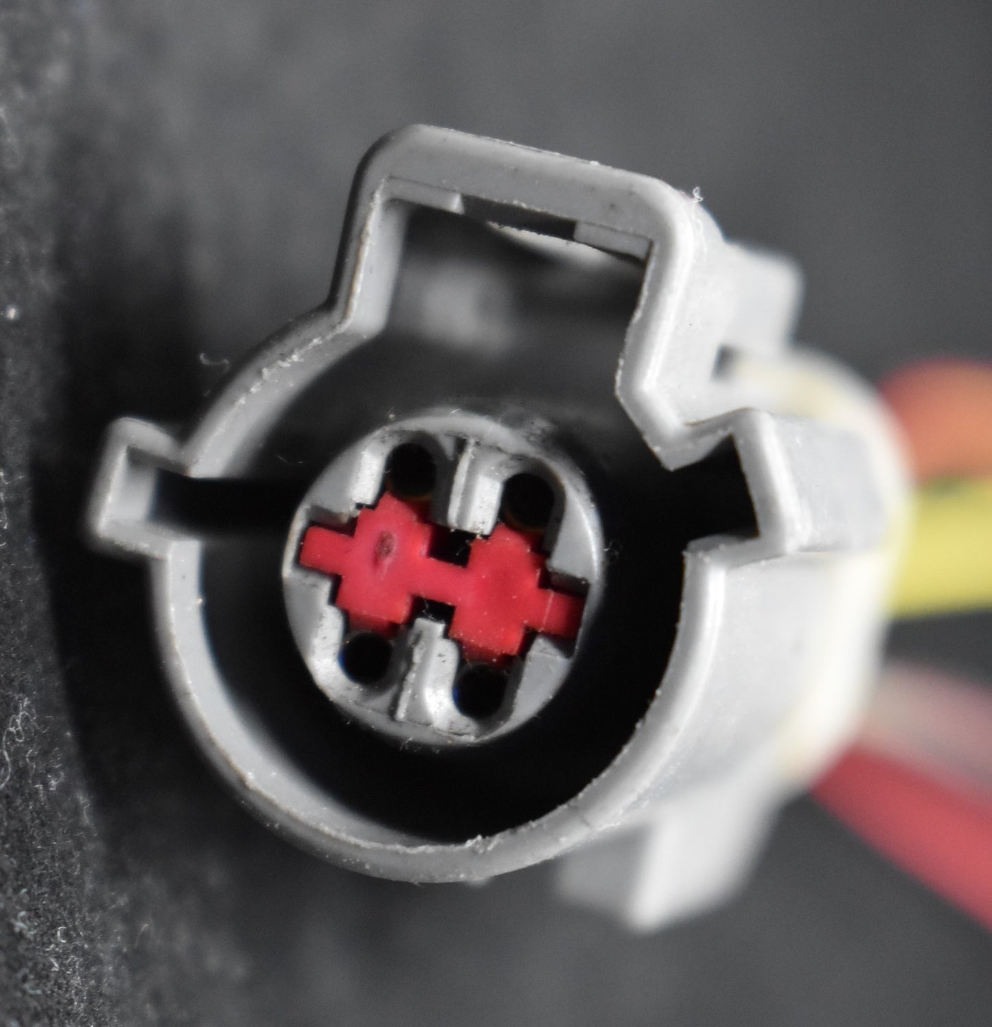 Arnes Sensor Oxígeno (Gris)-F08